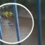 PM joga homem em córrego em Carapicuíba: Corregedoria investiga o caso PM joga homem em corrego em Carapicuíba