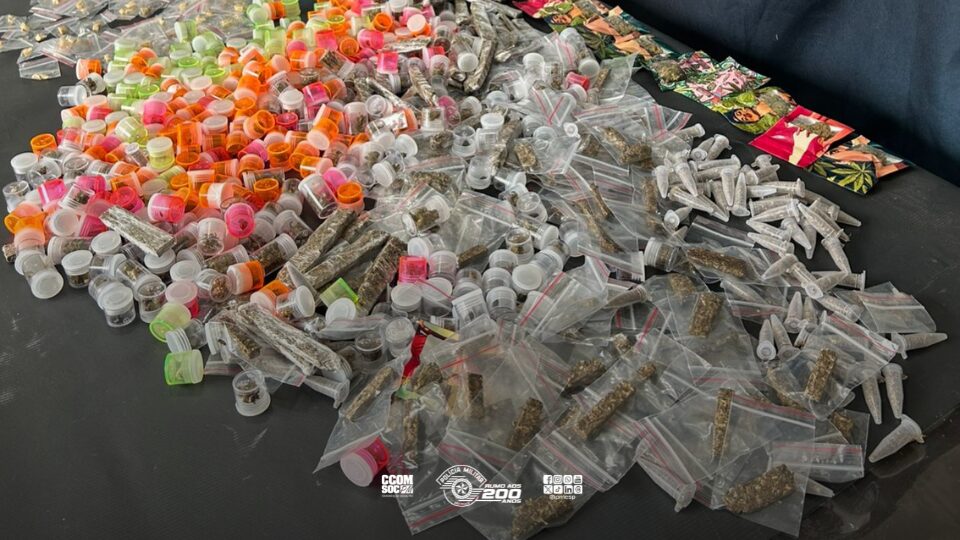 BAEP localiza casa bomba com apoio da K-9 Zoe em Osasco