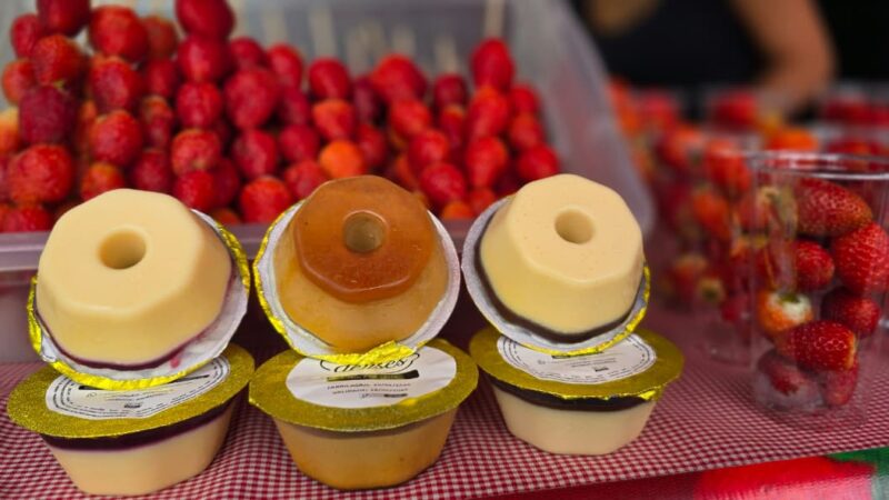 Festival de Inverno no Parque CERET: Cultura, Lazer e o Valor do Espaço Público