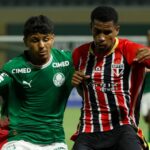 (Crédito: Fabio Menotti/ Ag. Palmeiras)