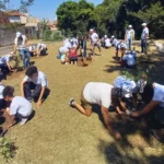 Osasco lança manual de boas práticas e consolida experiência com a implantação de mini pomares urbanos result_mini-pomar