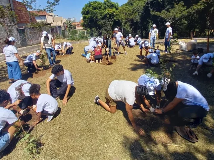 Osasco lança manual de boas práticas e consolida experiência com a implantação de mini pomares urbanos