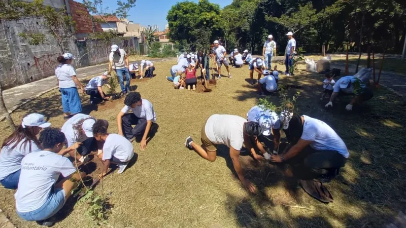 Osasco lança manual de boas práticas e consolida experiência com a implantação de mini pomares urbanos